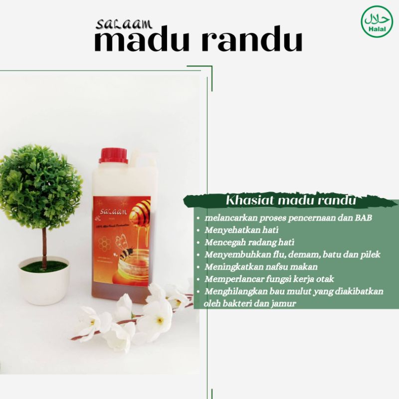 

DSM Healthy Salaam madu randu 1000gr Madu 100%original