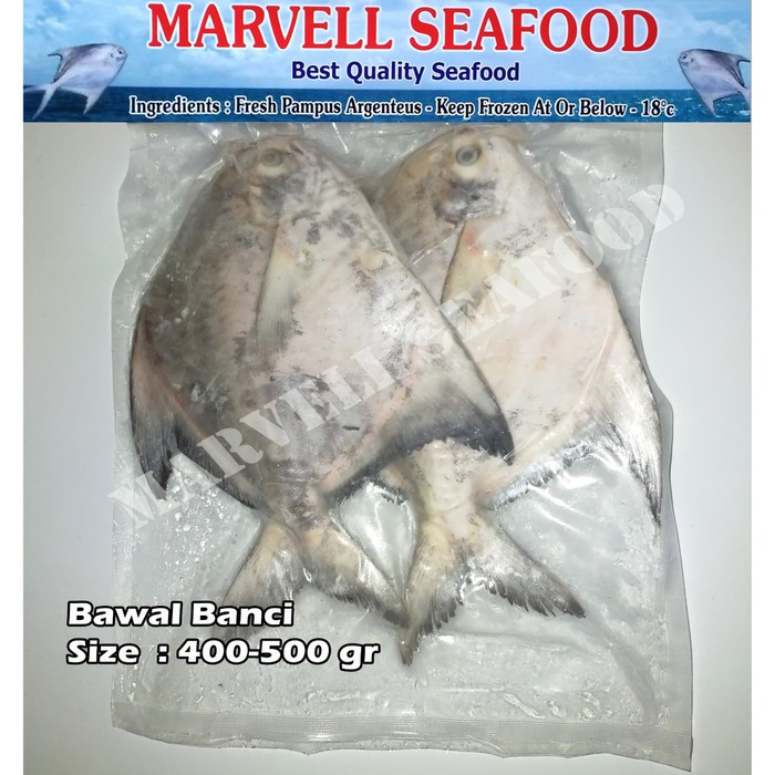 

IKAN BAWAL BANCI FRESH/FROZEN SIZE 400/500gr 2pcs