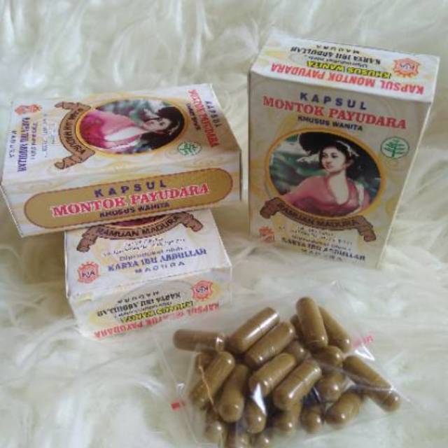 Jamu Montok Payudara