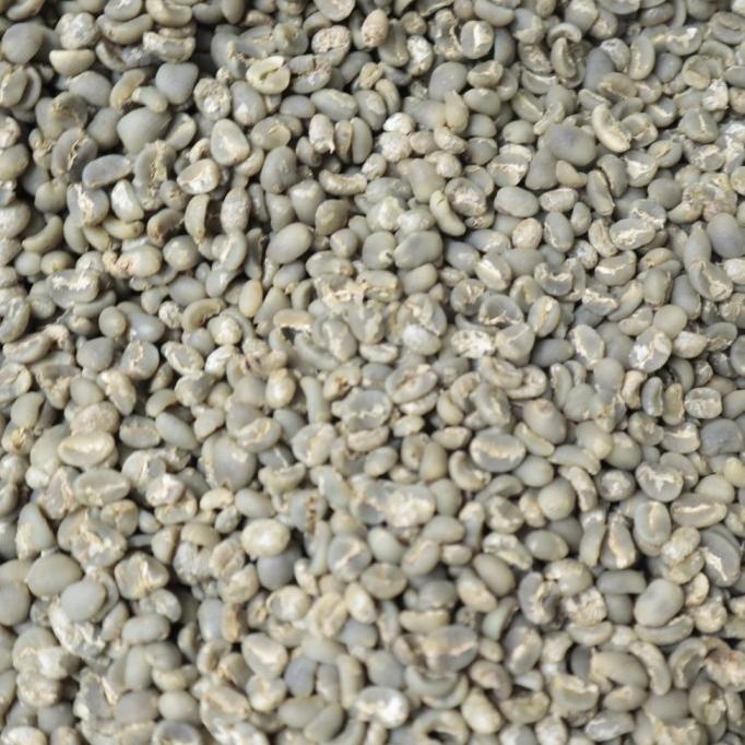 

Green Bean Kopi Arabika Lintong G1 1KG