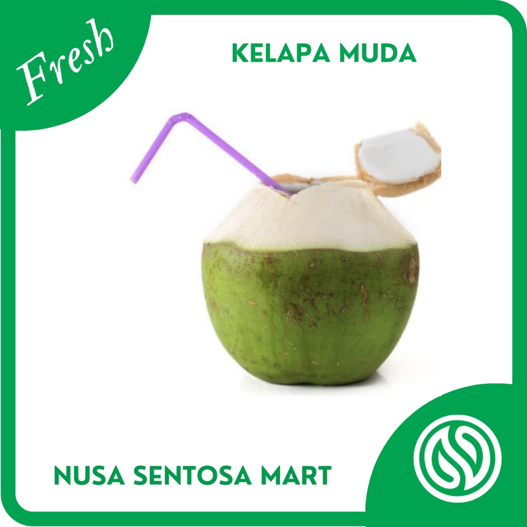 

Kelapa Muda Utuh 1 Buah Segar