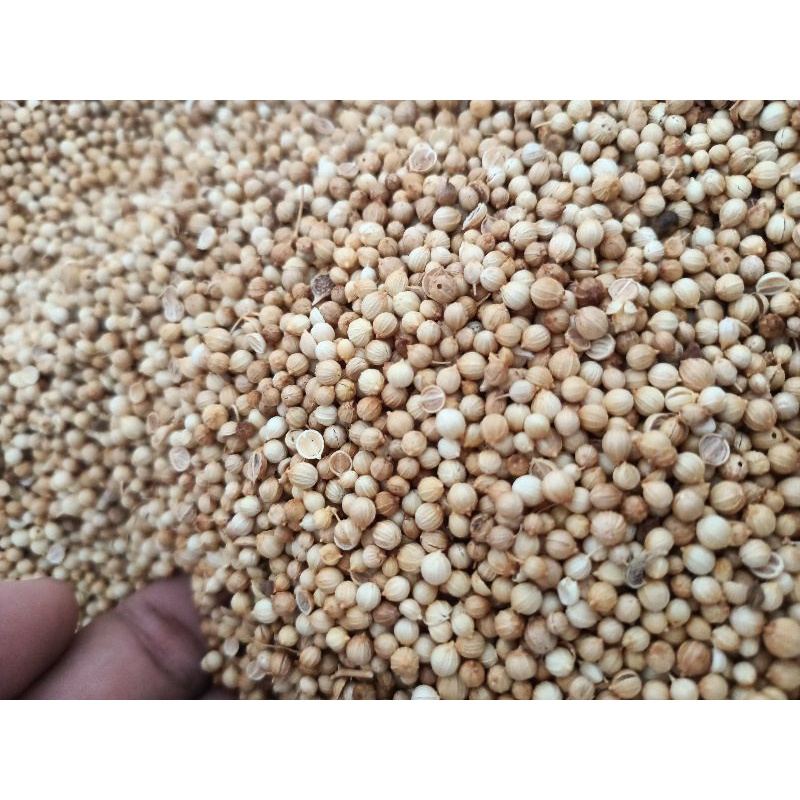 

KETUMBAR MULYA (500gr)