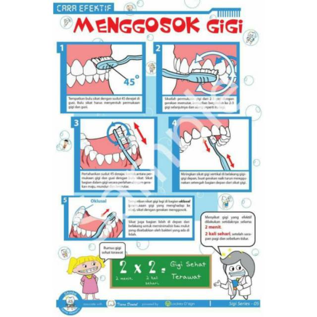 Jual Poster Gigi Cara Efektif Menggosok Gigi | Shopee Indonesia