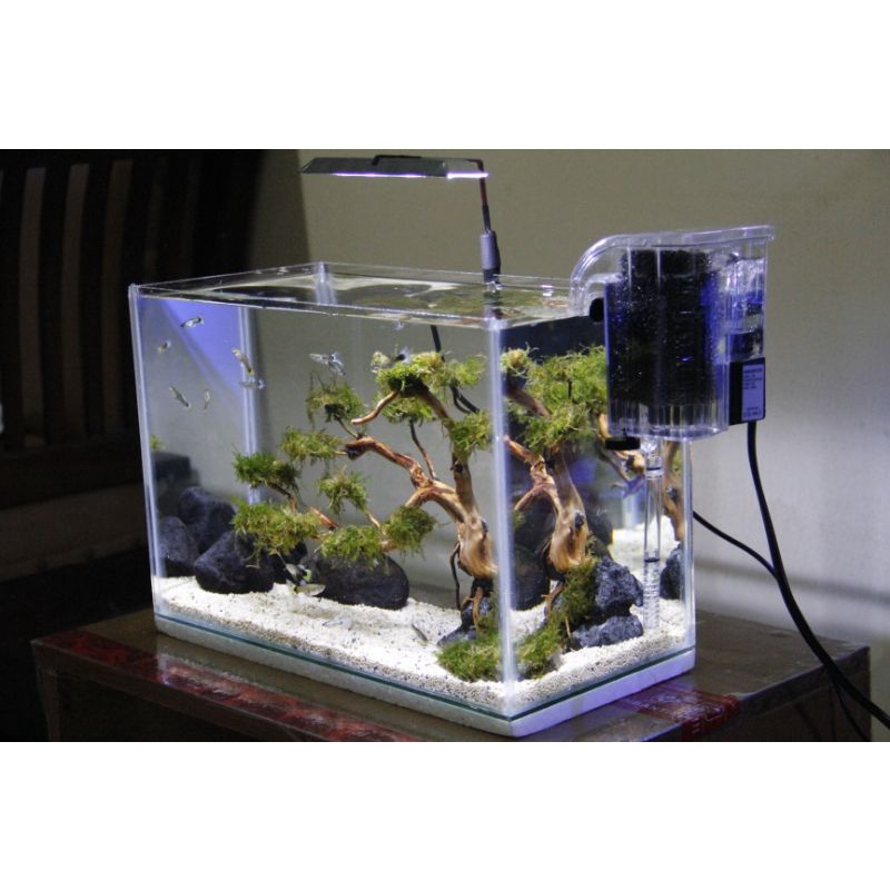 LAMPU LED HPL 9 WATT UNTUK AQUASCAPE & AQUARIUM