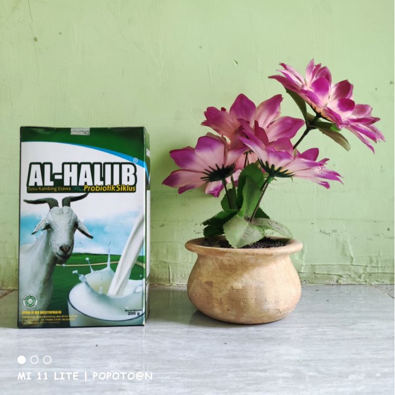 

Susu Kambing Etawa Plus Probiotik Al Haliib Refill | 200 Gram