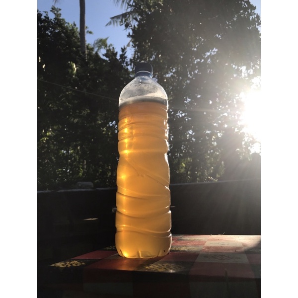 Madu murni trigona itama