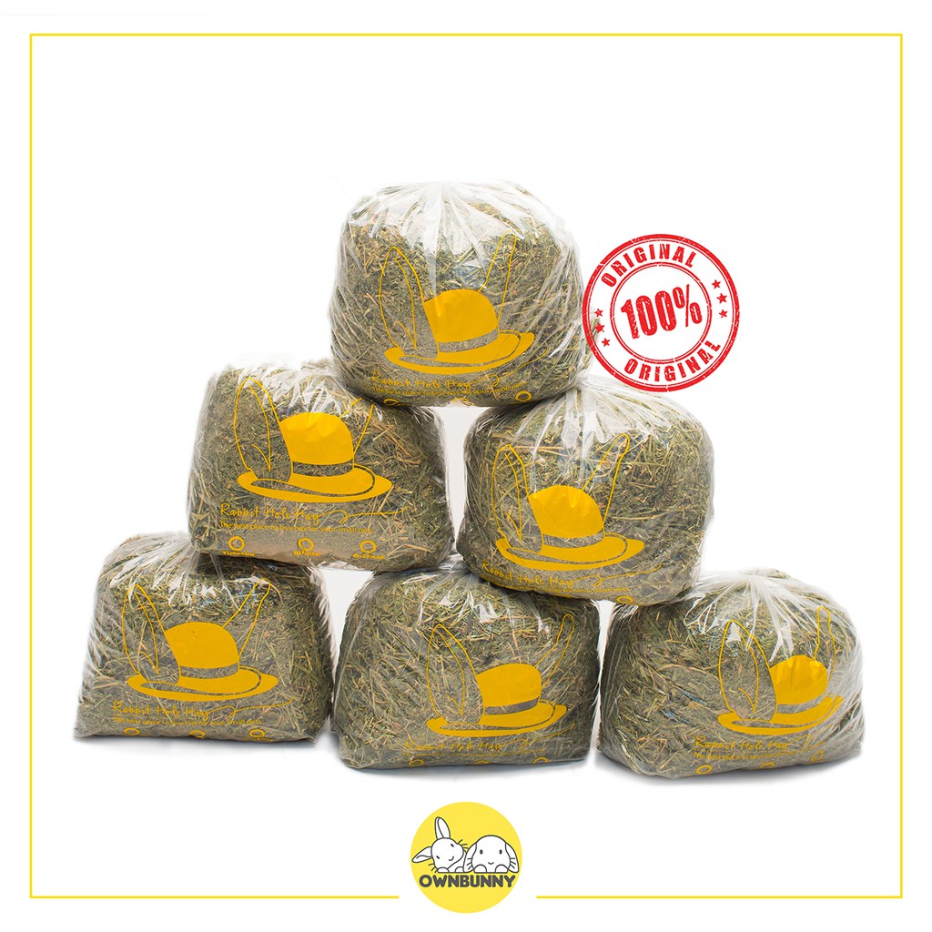 ALFALFA HAY RABBIT HOLE RUMPUT ATAU MAKANAN KELINCI 500 GRAM