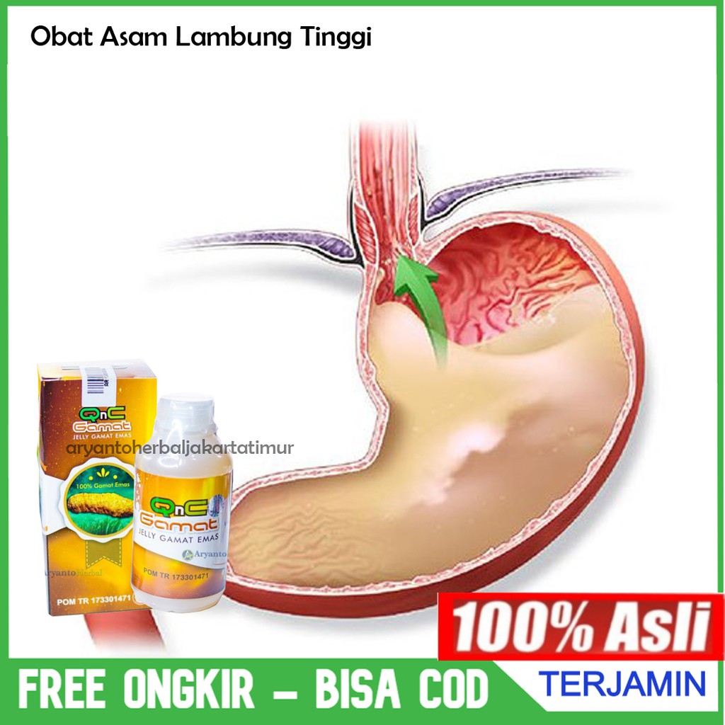 QNC JELLY GAMAT OBAT HERBAL ASAM LAMBUNG MAAG RADANG LAMBUNG LUKA RADANG USUS LUKA DAN NYERI