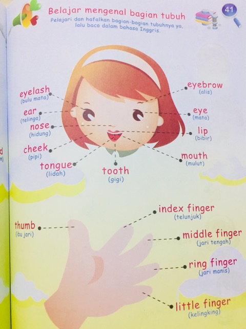 Belajar bahasa inggris untuk anak umur 2 tahun