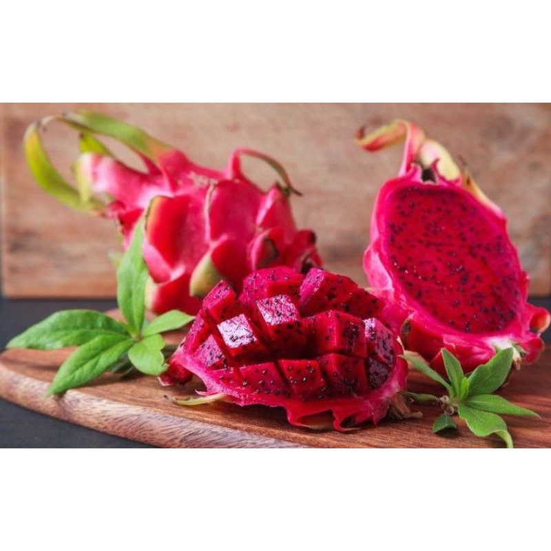 

BUAH NAGA MERAH ORGANIK SEGAR || FRESH DRAGON FRUIT