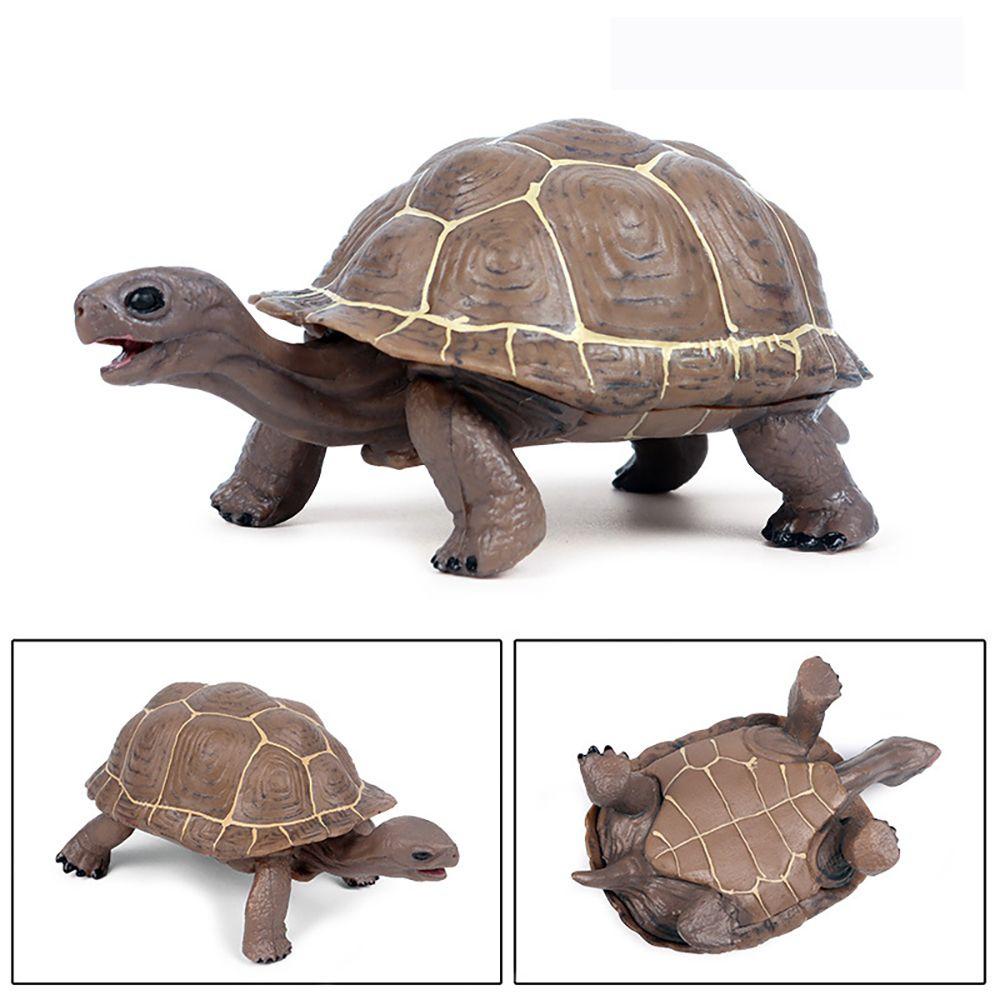 R-flower Mainan Edukasi Bentuk Kurakura Untuk Anak-Anak