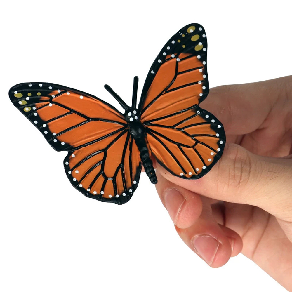 Simulation Animals Growth Cycle Butterfly Ladybug Chicken Life Cycle Figurine Plastic Models Action Figures Educational Kids Toy