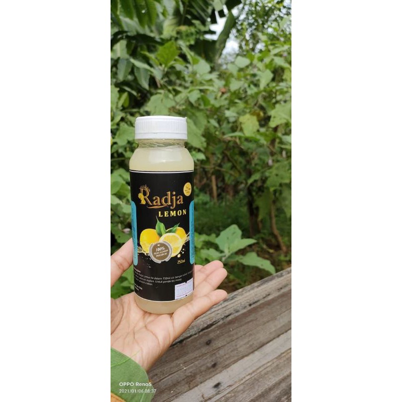 

Radja Lemon | Radja Diet Original | Terbuat Dari 100% Sari Lemon Asli