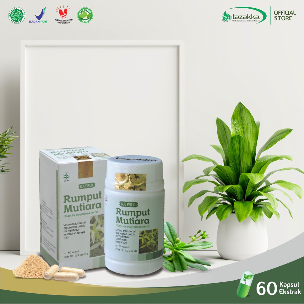 OBAT AMANDEL | OBAT Herbal RUMPUT MUTIARA Tazakka isi 60 Kapsul | Kapsul Herbal HALAL BPOM ORIGINAL