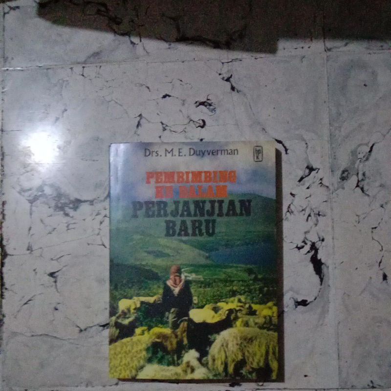 buku pembimbing ke dalam perjanjian baru