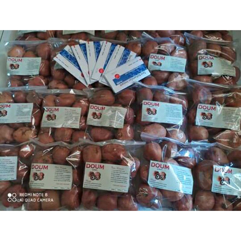 

Buah Zuriat Asli 1kg / Zuriat Mesir Free Testpack / Promil Zuriat