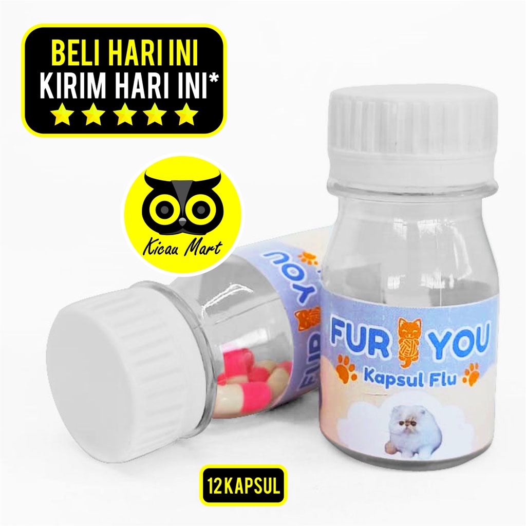 Obat Kucing Flu Hidung Berair Kapsul Fur You Fluend Flucat Doxycat Obat Flu Berat Kucing Kurus Atasi Flu Parah Hidung Mampet Batuk Pilek Demam Ingusan