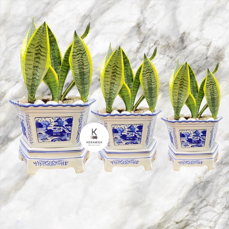 1set Pot Keramik (+Kaki)