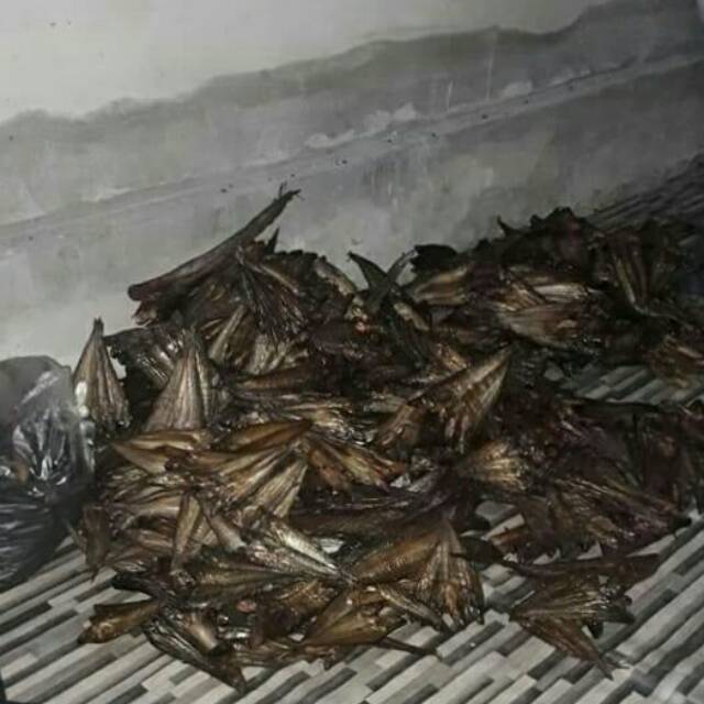 

Ikan Salai Selais Riau