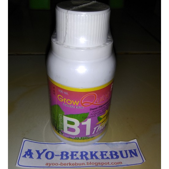 Vitamin B1 Grow Quick Plus - Vitamin B1 untuk tanaman Quick Grow - Vitamin B 1 Untuk Tanaman