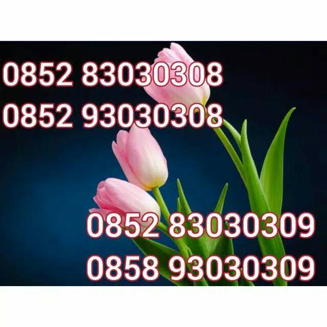 Kartu perdana As Couple No cantik as Harga 1 paket (2 no) harga Murah