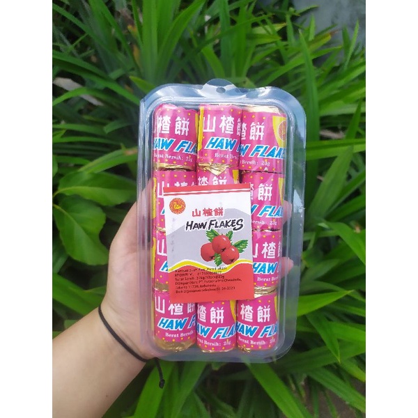 

HAW FLAKES MANISAN BUAH HAW (100GRAM/10 PCS DAN 276GRAM/12 PCS)