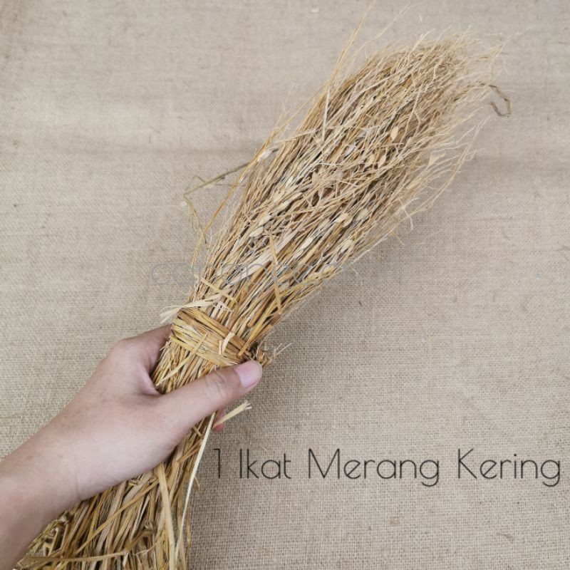 Merang Padi Kering Dekorasi Properti Foto