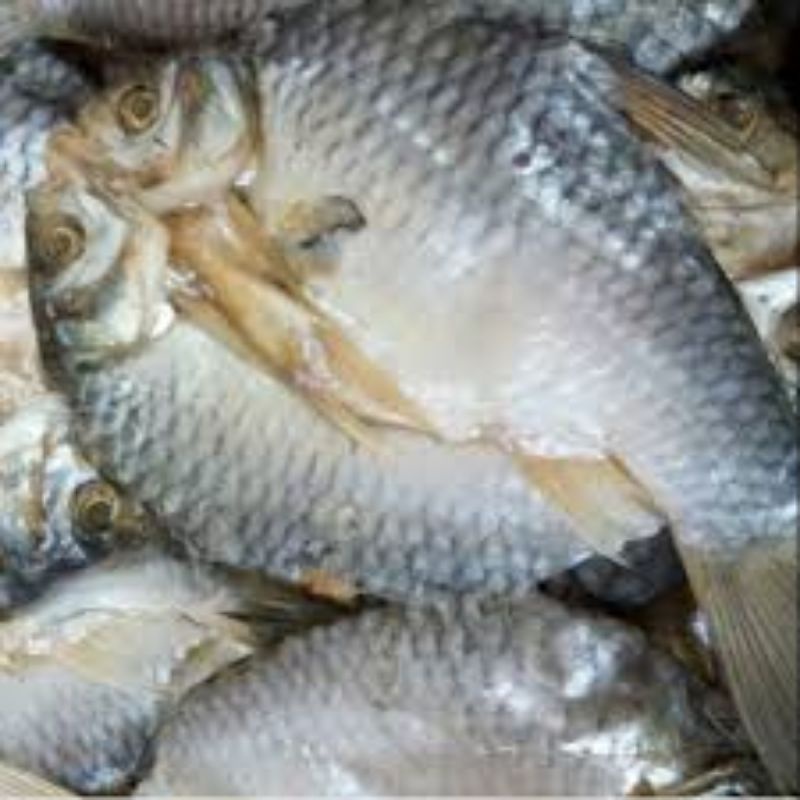 

ikanasintawesmurah500g