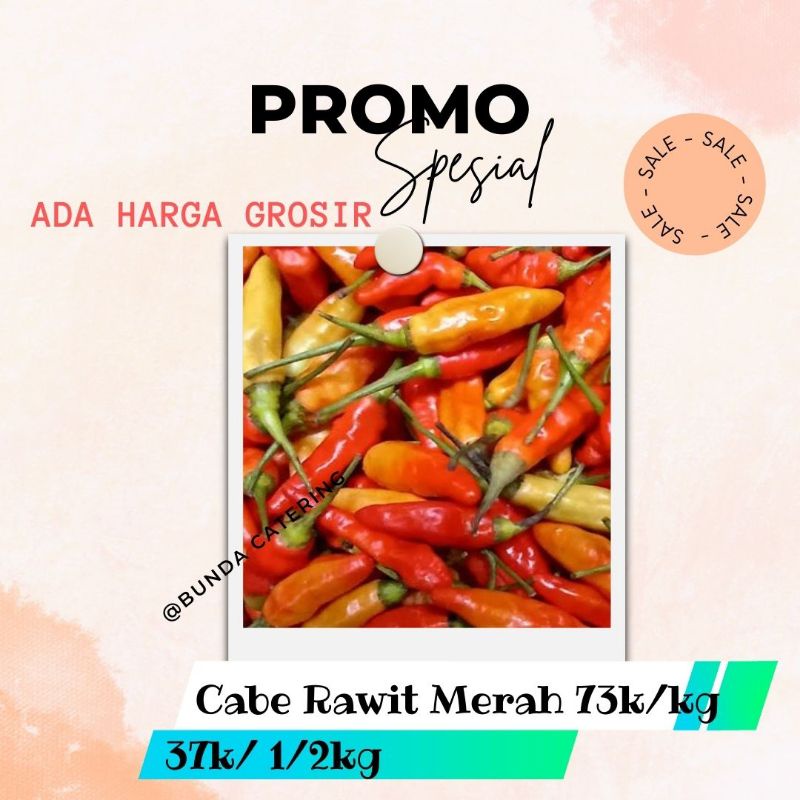 

Cabai Cabe Rawit Merah kg Murah