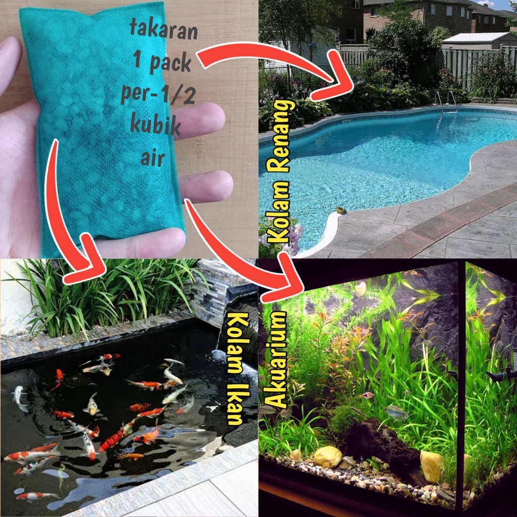 10gr KAPORIT BUBUK Penjernih Air Kimia &amp; Bebatuan Alami Lengkap Serbaguna HYGIENEZ / TCCA POWDER /  CHLORINE 90% / KALSIUM HIPOKLORIT Aquarium Akuarium Aquascape Mini Kolam Renang Ikan Koi Bak Mandi Tandon Toren Sumur Bor PDAM Filter Penyaring