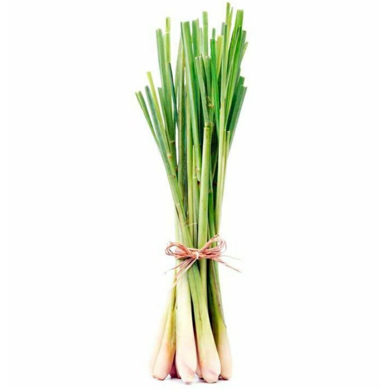 

BISA COD/Pohon sereh sayur .ataw sereh bumbu/per iket