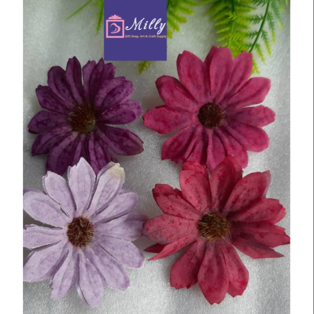 

Daisy - bu.50