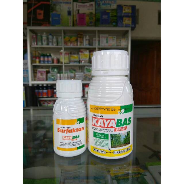 Herbisida kayabas selektif tanaman jagung