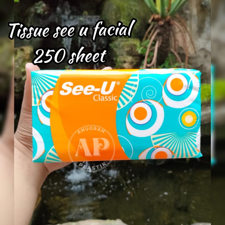 Tissue Paseo smart 250 sheet 2 ply / tissue facial paseo