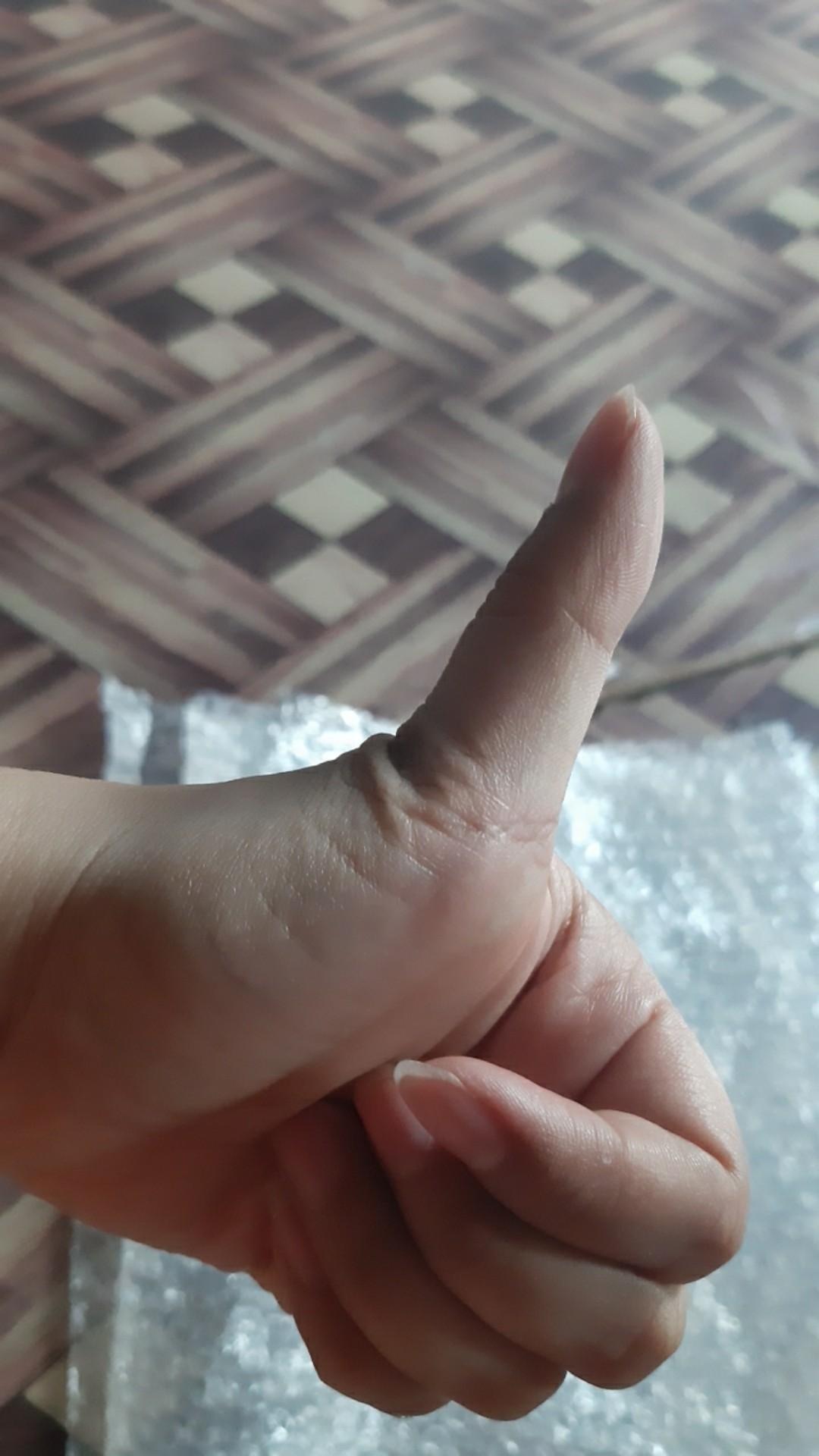 Rinnai Ri-302s Kompor Gas 2 Tungku + (selang & Regulator Caisar)