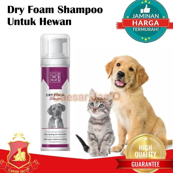 DRY FOAM SHAMPOO / Shampoo Kering Kucing Anjing Dry Foam Shampoo