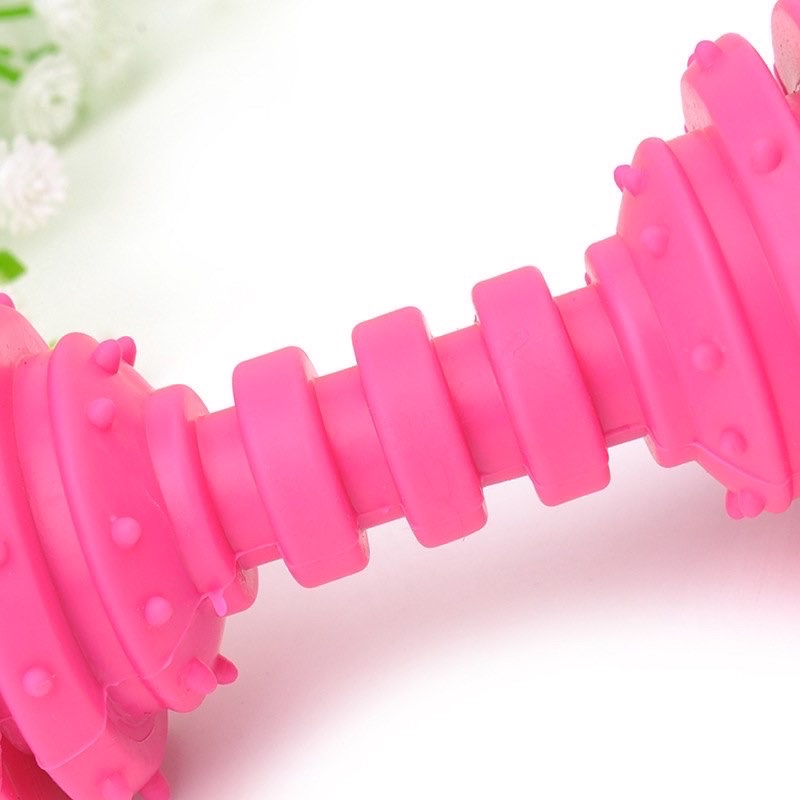 Barbel rubber toy with ring inside