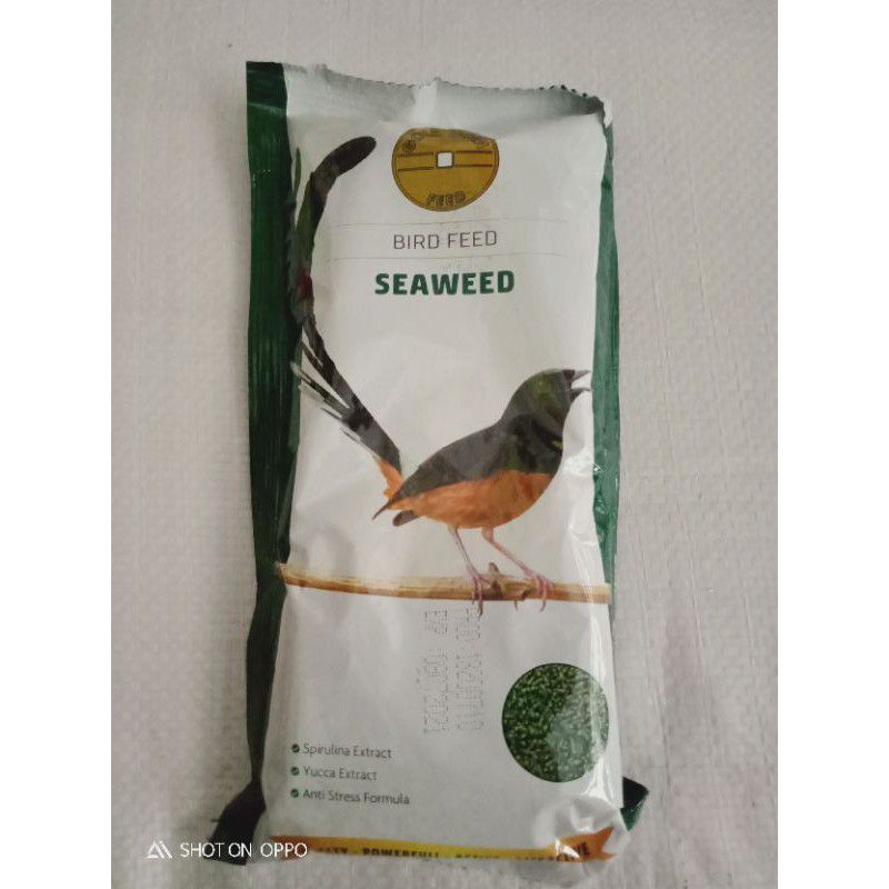 pakan burung murai gold coin hijau