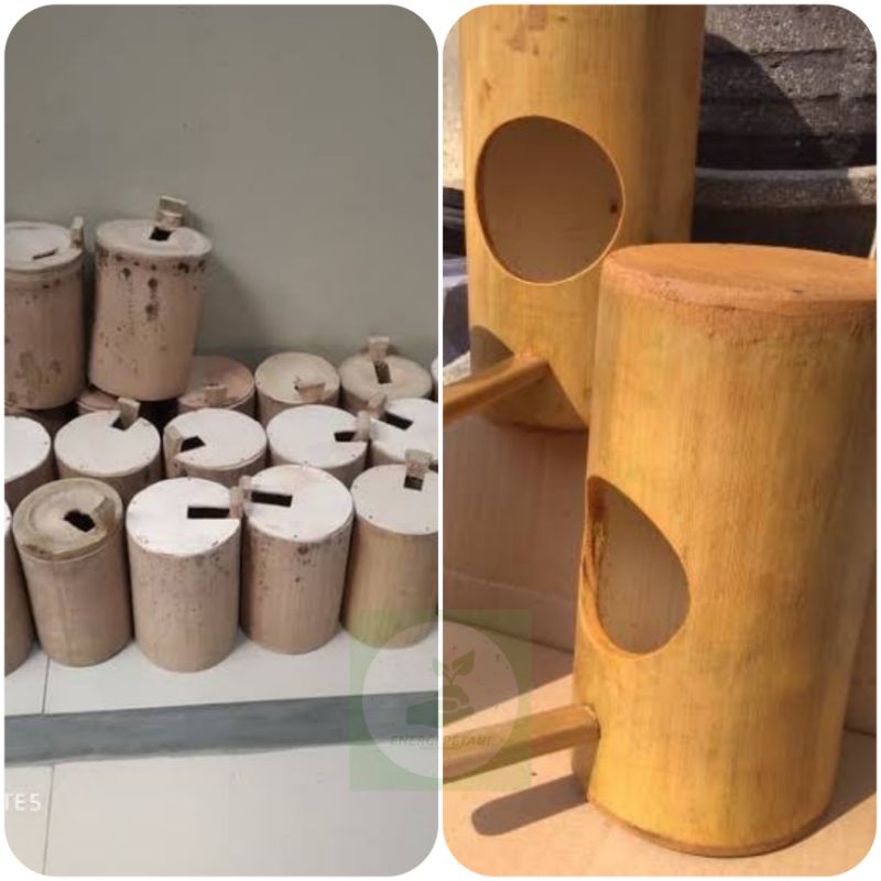 glodok bambu sarang burung kandang