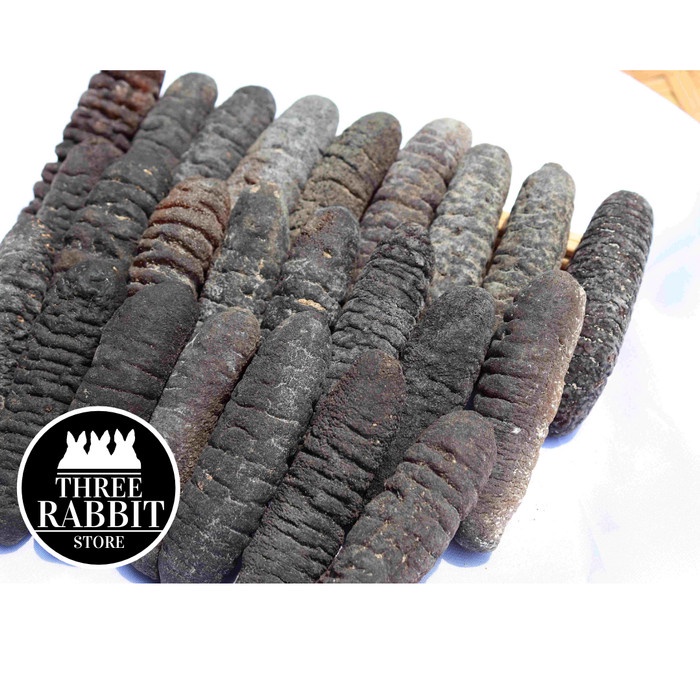 Teripang Gosok Hoisom Thutsem Sea Cucumber kering 1 KG isi 50 (1/2 KG)