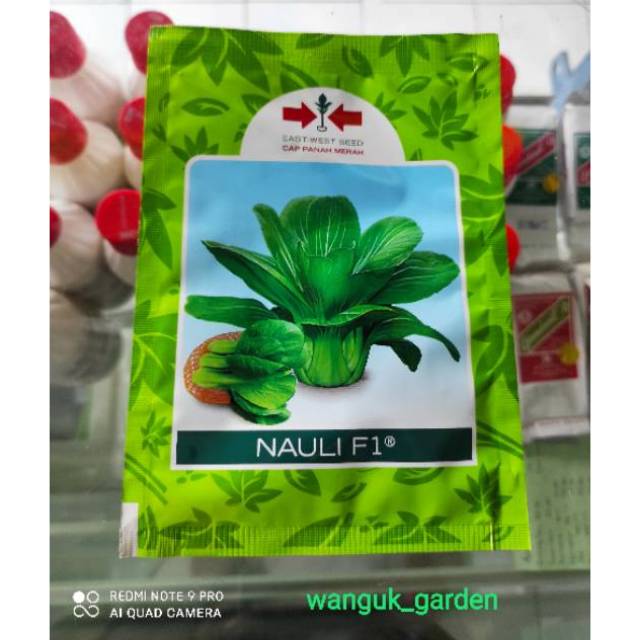 BENIH PAKCOY NAULI F1
