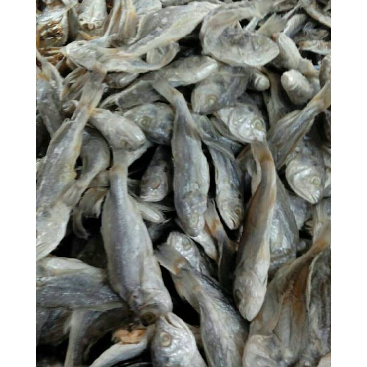 

Ikan Asin Kepala Batu / Gulama ( @ 500 Gr )
