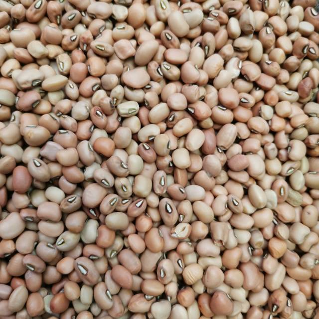 

Kacang Tolo / Tunggak berat 1kg/1000gr