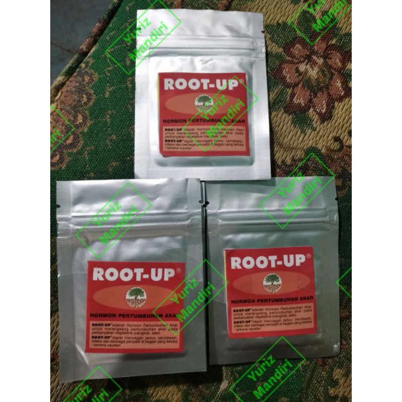 ROOT-UP