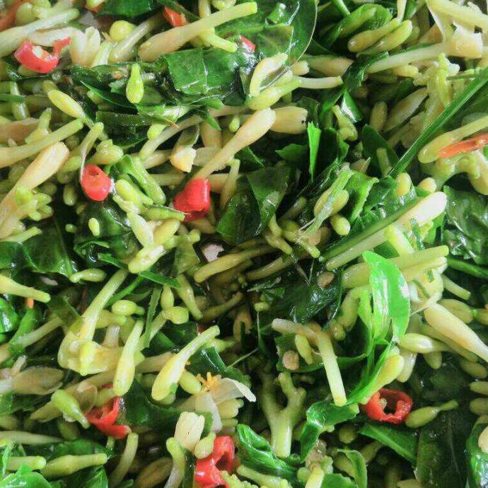 

[COD] Oseng Bunga Pepaya Vegetarian Vegan Halal [COD]