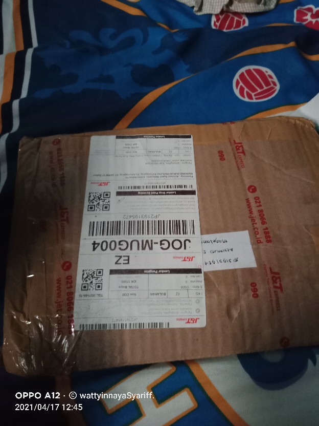 Cetakan Coklat Puding Mika Buah Nanas