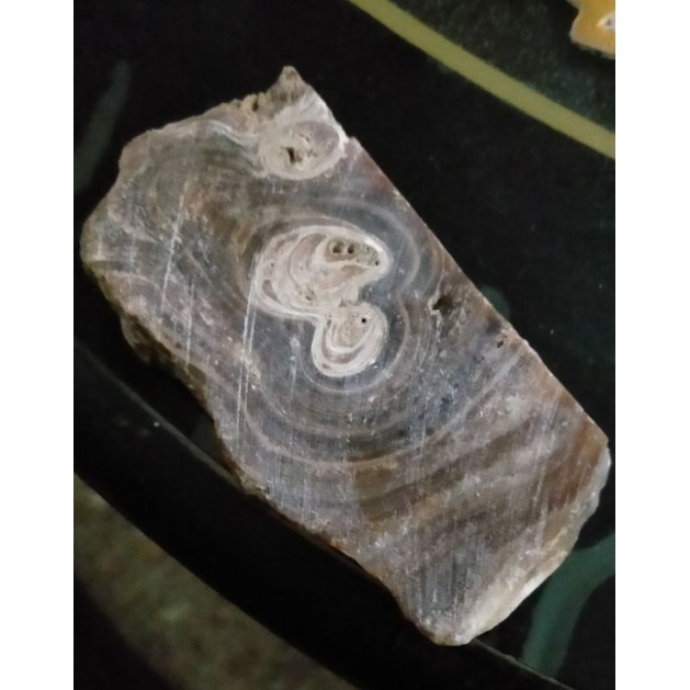 Bahan batu ali fosil kayu gharu