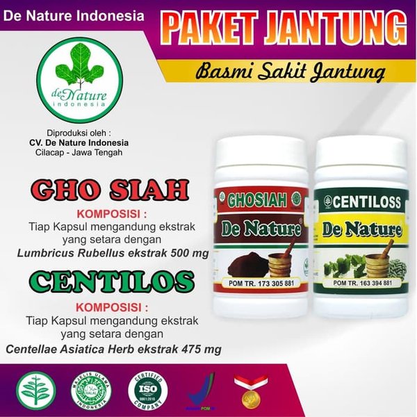 

Herbal Pilihan Obat Jantung Bengkak Herbal AMPUH