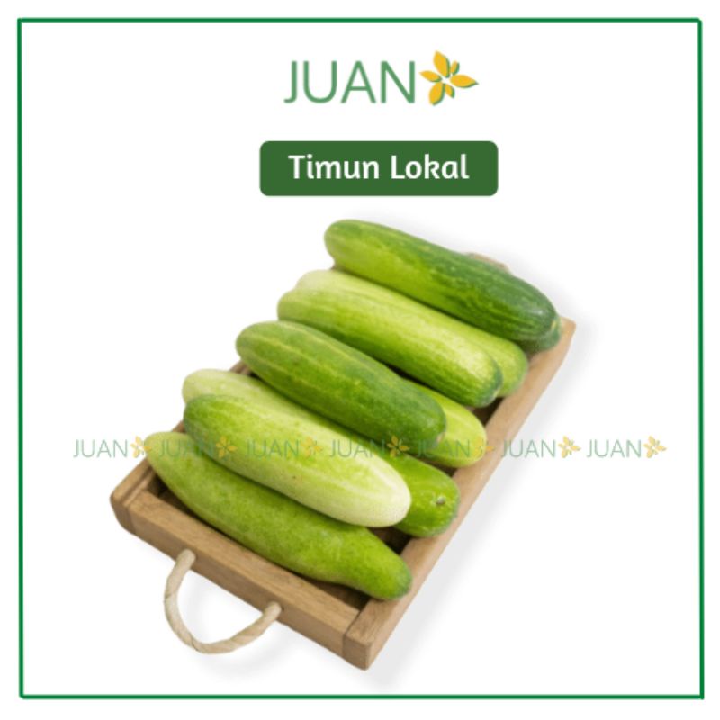 

Timun Lokal 500 g - Juan Freshmart