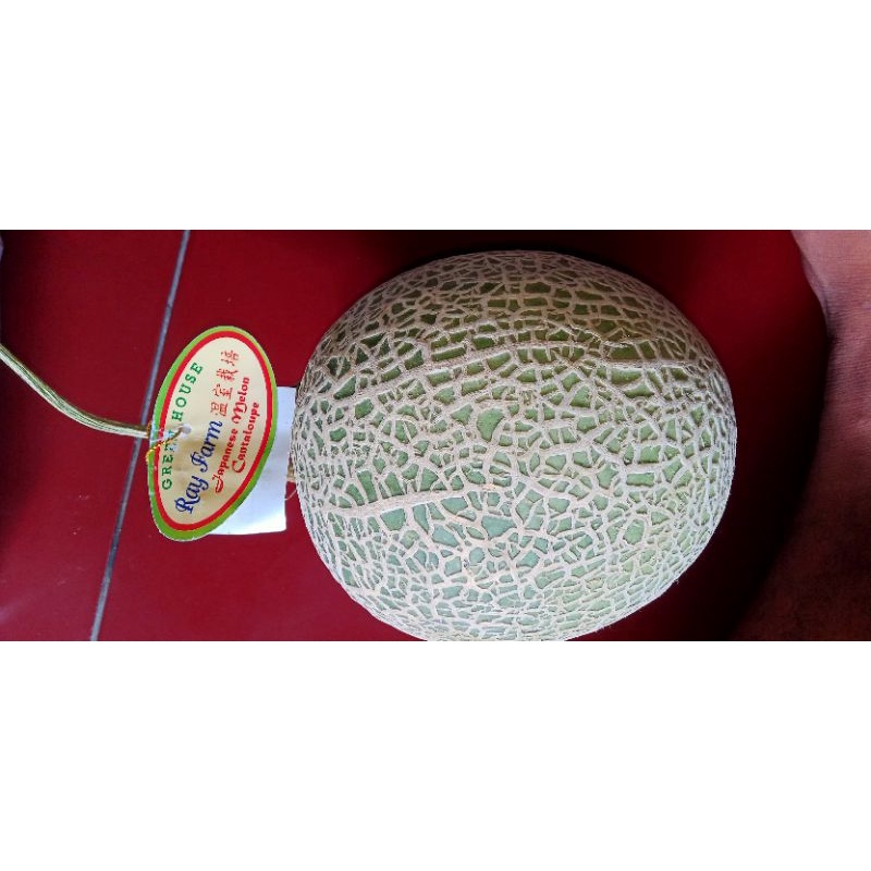 

japanese melon